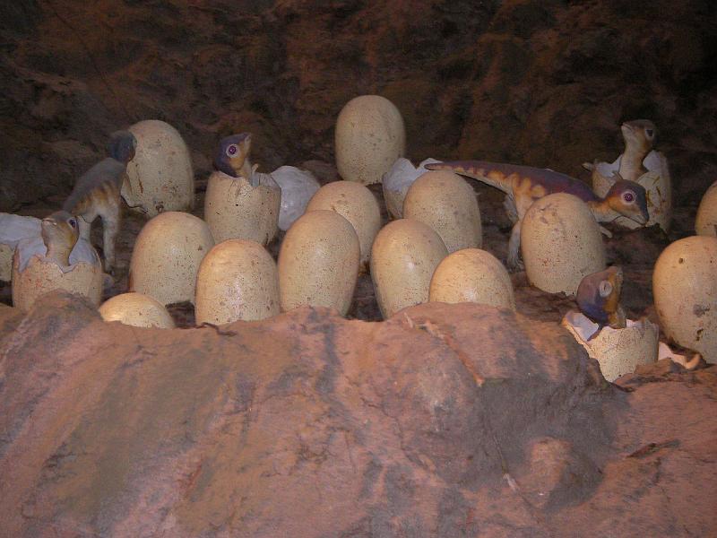 LV Zeltlager 2008 087.jpg